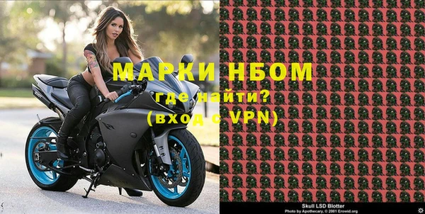 apvp Алзамай