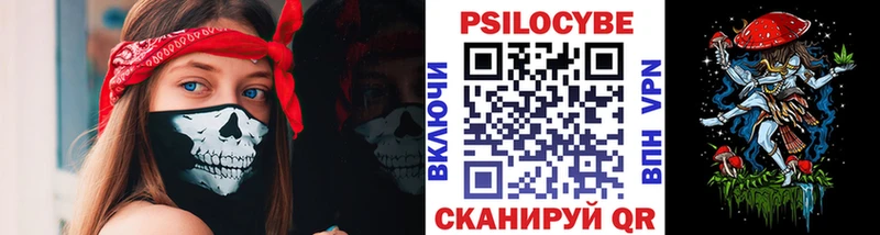 Галлюциногенные грибы мицелий  Пущино 